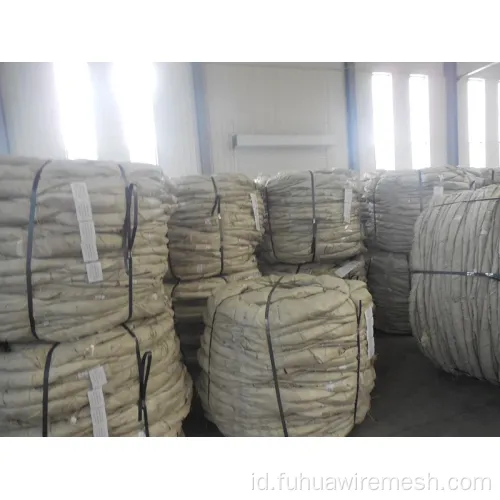 Hot-Dipped Galvanis Galvanized Razor Barbed Wire Mesh